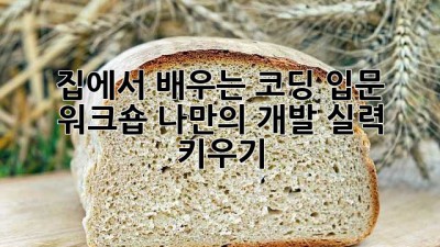 집에서 배우는 코딩 입문 워크숍: 나만의 개발 실력 키우기